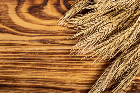 Wheat Ears on the Wooden Table. Sheaf of Wheat over Wood Background. harvest conceptの写真素材