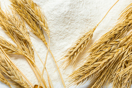 Close-up of a heap of flour and ears of wheat after sifting. Concept Record prices and high prices for bakery products. Rising wheat prices in Europe.の写真素材