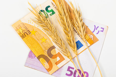 Top view Euro cash, flour and wheat crisis. Record prices and high prices for bakery products. Rising wheat prices in Europe. Ripe ear of wheatの写真素材
