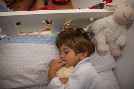 Sleeping Child Holding On To A Teddy Bear. Family Lifestyle.
