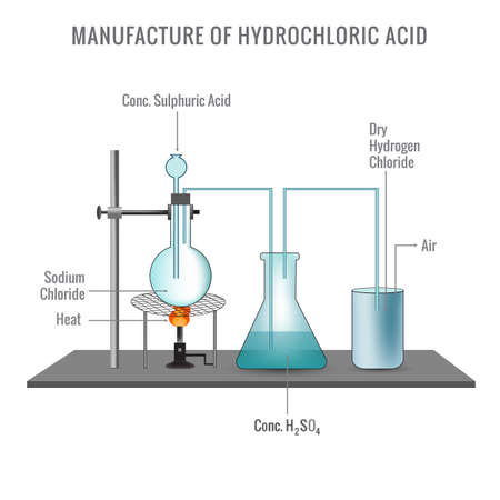 Preparation of Hydrochloric Acid in Laboratory vector image illustration. Hydrochloric acid is also known as Meureatic Acid. Acid preparation.のイラスト素材
