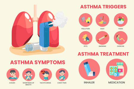 Asthma symptoms infographic. The concept of bronchus and lung disease. Detail about of asthma symptoms and treatment. Asthma Healthcare Infographics vectorillustration.のイラスト素材