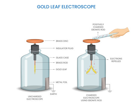 A gold-leaf electroscope detects electric charges by the divergence of thin gold leaves, a classic instrument in electrostatics.のイラスト素材
