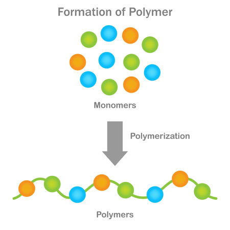 Polymer formation, Monomers link through polymerization, creating long chains with distinct properties for various applications.のイラスト素材