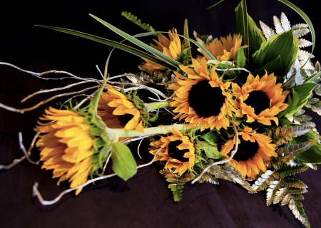 sunflowersの写真素材