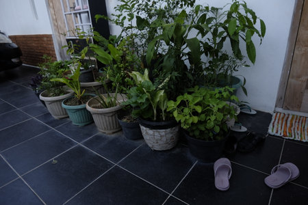 Flower pots on the floor in the courtyard of the house.の写真素材
