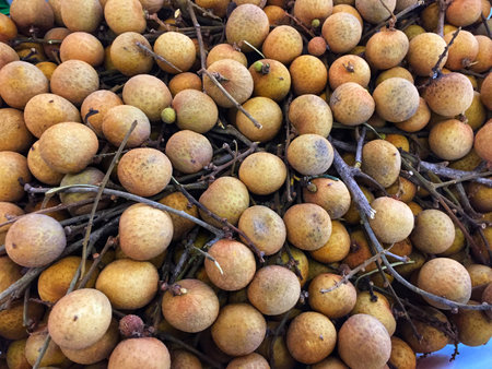 Longan fruit on the street market in Thailand. Close up.の写真素材