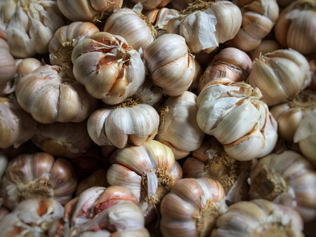 Garlic bulbs are sold at traditional market stalls. no peopleの写真素材
