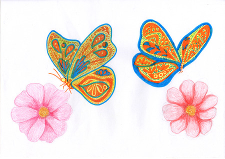 butterflyのイラスト素材