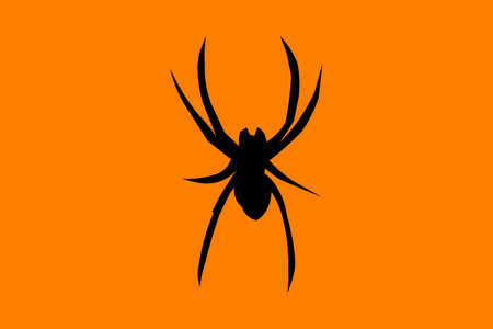 Silhouette of a black spider over an orange background. The insect is in the center of the...