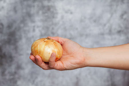 A man's right hand holding a sweet onion on a textured gray background.の写真素材