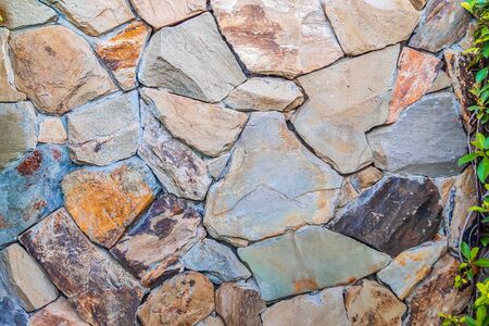 Beautiful background of closeup brown gray stone wall with green leaves on the right side. Ideal for use in the design or wallpaperの写真素材