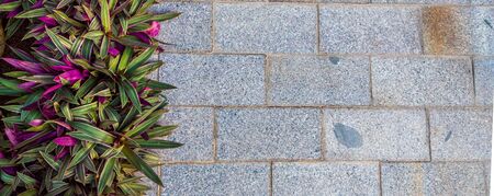 Beautiful background of closeup gray marble floor with green purple flowers on the left. With copy space ideal for use in the design or wallpaper.の写真素材