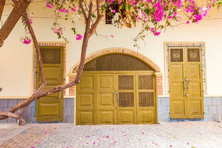 Light brown vintage metal double outside door with two more doors on both sides with pink flowers.