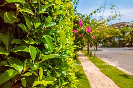 Beautiful view of sidewalk with paving stone near modern houses in comfortable village in sunny...