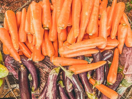Close-up heap of carrot and eggplant. Harvested young fresh organic bio raw vegetable on the market. Cooking, homemade gardening and healthy food concept, vitamins for strong immunityの写真素材