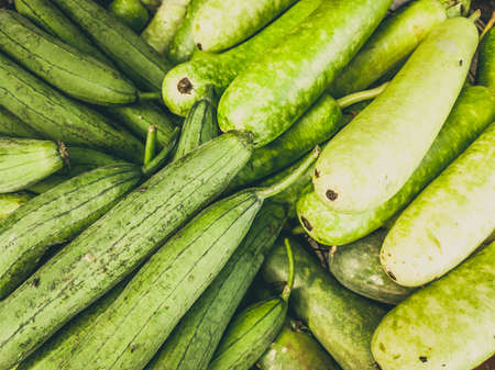 Close up heap of pile of raw eggplant zucchini on a local asia farmers market. Light green...
