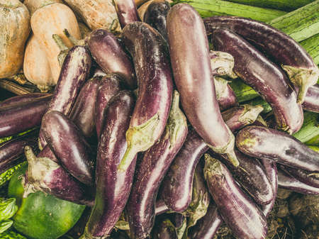 Close up heap of pile of raw purple eggplant and small green pumpkin on a local asia farmers market. Cooking and healthy food concept, vitamins for strong immunity, good nutritional valueの写真素材