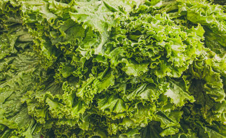 Close-up heap, pile of raw leaf salad on a local asia farmers market. Cooking and healthy food...