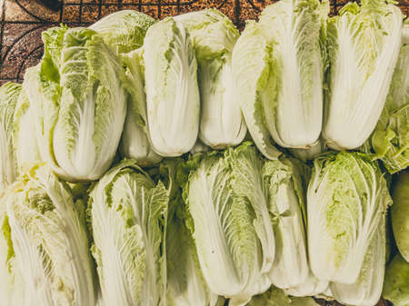 Close-up heap, pile of raw cabbage on a local asia farmers market. Cooking and healthy food concept, vitamins for strong immunity, good nutritional value. Light green backgroundの写真素材