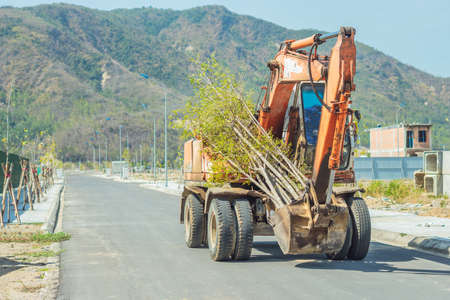 Big yellow excavator carries tree branches in sunny day working on new modern district road...