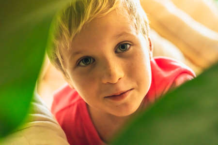 Closeup portrait of blond curious having fun boy in pink t-shirt looking out of the green leaves. Family relationship, happy childhood, problem behaviour, educational psychology, child goods producingの写真素材