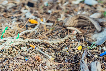 Spilled rubbish on the ground in the forest park. Ropes and plastic medical syringe. Environmental...