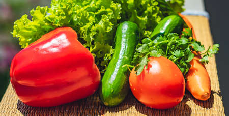 Heap of clean wet vegetables. Fresh raw carrot tomato cucumber green salad leaves, cilantro parsley...