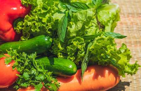 Heap of clean wet vegetables. Fresh raw carrot tomato cucumber green salad leaves, cilantro parsley basil, bell pepper. Cooking, homemade gardening, healthy food concept, vitamins for strong immunityの写真素材