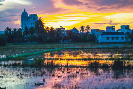 Dark orange red yellow purple colorful natural bright sunset sky. Evening cloudscape reflected in water, background building in shadow, ducks floating in rice field. Design wallpaperの写真素材
