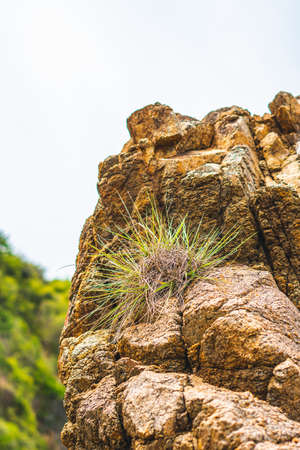 Close up view bright vivid orange brown yellow stone rock shabby cliff cracks texture mountains. Concept of geology, beauty power in nature. Natural summer composition landmark background designの写真素材