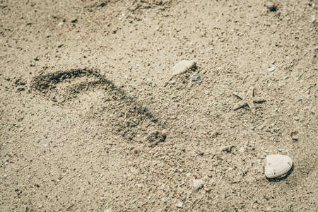 Beige brown beautiful nature background design web wallpaper for resort spa relax. Trace of kid...