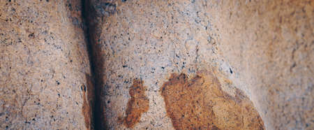 Real Nature lines curve background. Close-up Abstract macro view photo. Sea Rough stone cliff...
