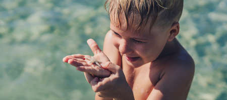 BANNER Copy space. Close side lifestyle portrait boy carefully thoughtful surprise facial expression look at white little starfish on palm. Day sun sea. Childhood learn new interest kid tourism happyの写真素材