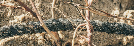 E BANNER Close up Macro black old fishing intertwined roughly twisted cotton rope braid detail on sea sand ground. Concept team work, symbol strong connection, abstract nature background designの写真素材