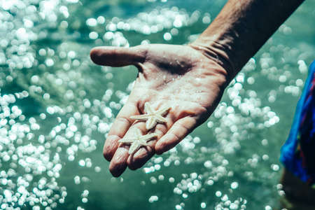 E Summer day water glare patch reflect sun light. Man hold show two starfish lie on open palm wet...