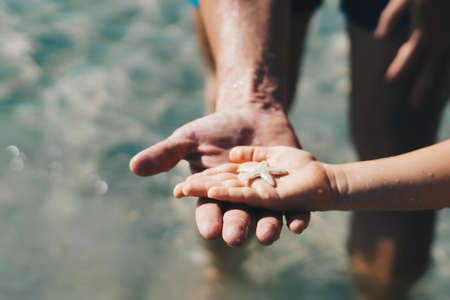 E Father hold son hand. Child show starfish lie on open palm. Close up wet drops skin, thumb finger. Sea tourism, care about marine fauna nature world beauty, boy curiosity. Together save oceanの写真素材