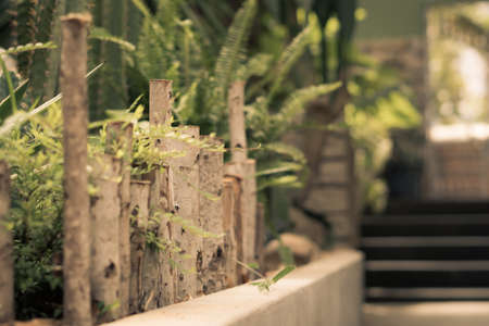 Vintage sepia nature background. Fence flower bed greenery, thin trunks. Decorative logs wall, modern design landscape house territory, path forward way, pedestrian sidewalk. Blur defocus stairsの写真素材