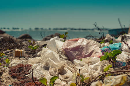 Sea horizon line. Real ocean life climate crisis, nature land pollution. Dirty sand beach, throwing outdoor plastic litter waste, need environmental protection. Problem of garbage caused by man madeの写真素材