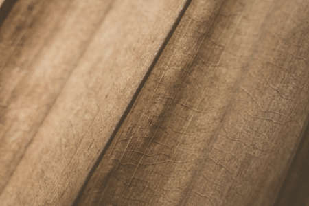 Macro shot Abstract Real beauty nature background. Dried tropical plant leaf surface texture structure detail diagonal vein line streak stripe. Simple design matte vintage dark light brown beige shadeの写真素材