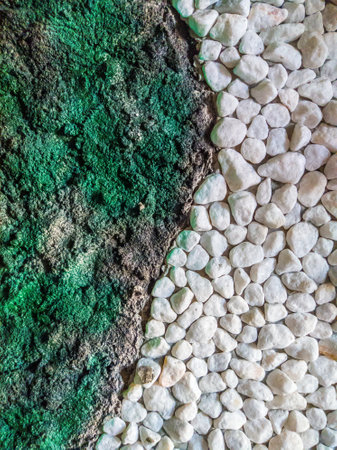 Decor stone man made wall interior design texture, curve lines different sized shapes. Beautiful wallpaper. Romantic simple. Abstract grunge WHITE light grey green shade background. Separated Yin Yangの写真素材