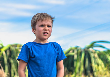 Blond boy looking far away distance blue sky background, furrowed eyebrows, indignation anger worry face expressions lifestyle. Summer day time nature wallpaper. Psychological feelings immunityの写真素材