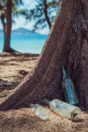 Landfill old dirty transparent discarded empty glass alcohol drinks bottles trash on ground near tree forest nature park. Alcoholism addiction problem bad habits, ecology issues environment pollutionの写真素材