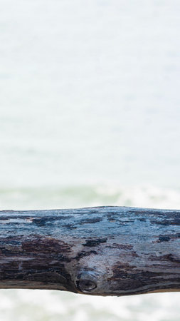 Vertical dark brown narrow plank log hard wood bark surface texture stem background sea empty board