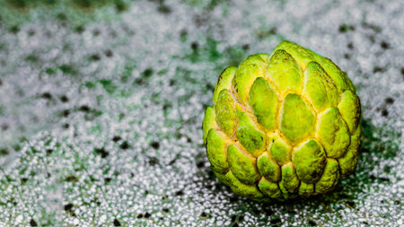 Real photo Ripened close macro sugar custard apple annona exotic tropical fruit. Oval scaly skin texture surface rough. Bright yellow green contrast color. Beauty nature wallpaper backgroundの写真素材