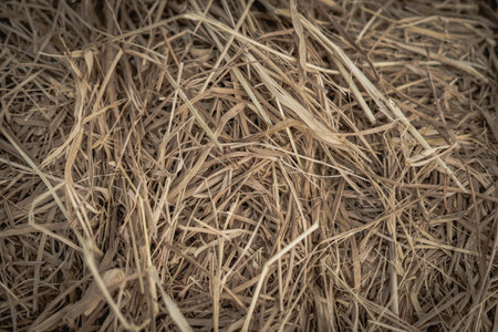 Hay close up bale background wallpaper macro stack beige tangled straw yellow gold. Darkの写真素材
