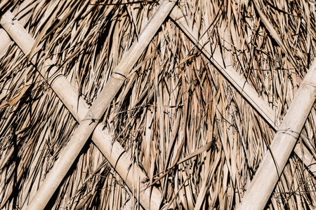 Straw pattern crop design close up pile dried grass golden yellow hay background hay macro eco natural backdrop countrysideの写真素材