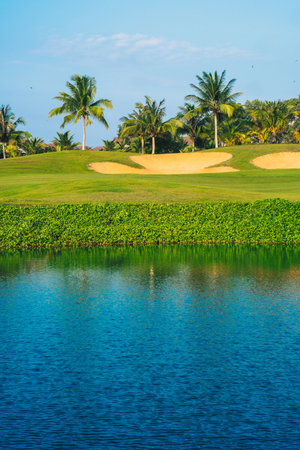A golf course with palm trees in the backgroundの写真素材