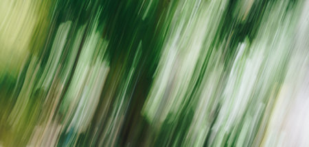 A green tree in the background swirl strokes smeared effectの写真素材