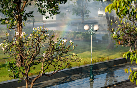 A rainbow is seen in the rain next to a tree.の写真素材